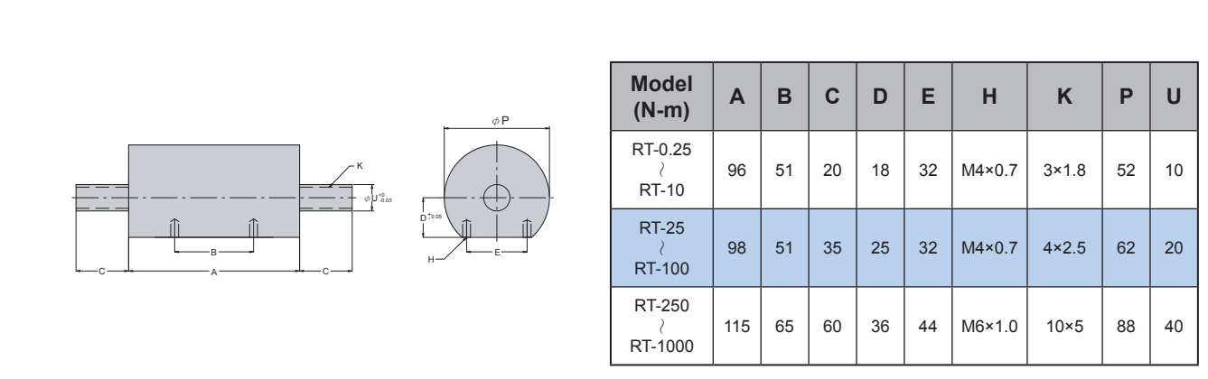 RT-1000NM